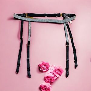 Victoria’s Secret Diamond Rhinestone Shine Strap Garter Belt Burlesque Dancer